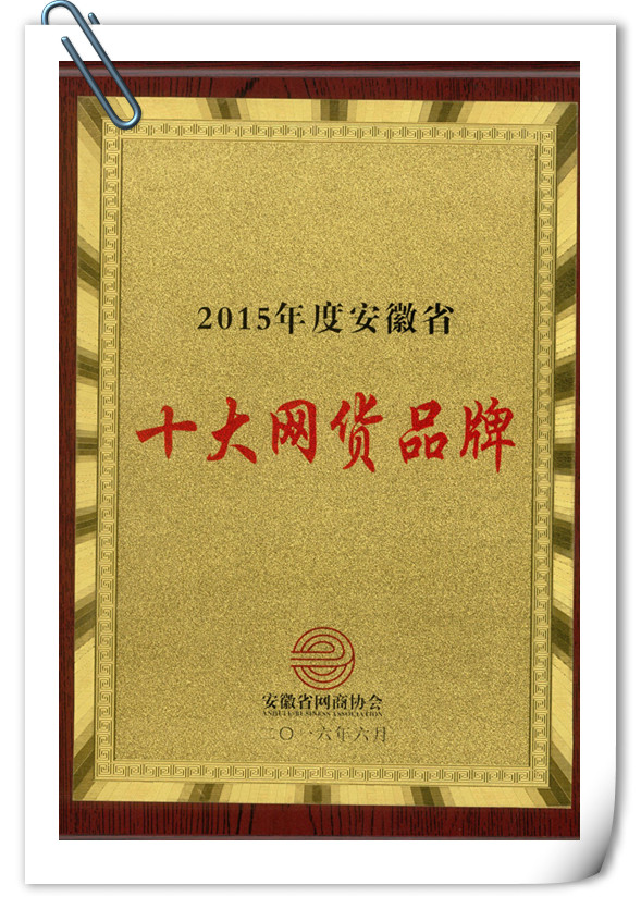 华银茶油荣获“2015年度安徽省十大网货品牌”(图3)
