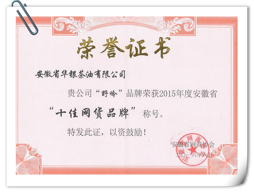 华银茶油荣获“2015年度安徽省十大网货品牌”(图4)